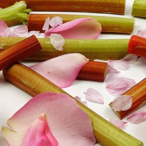 Rhubarb & Rose Fragrance