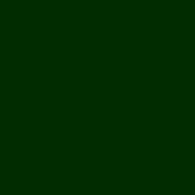 HEWI 306.BL.70 Escutcheon Blank (52×9) Dark Green Nylon (PAIR) - Image 4