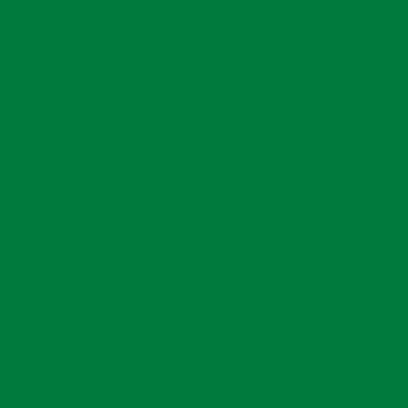 HEWI 306PZ.73 Escutcheon Euro (52×9) Meadow Green Nylon (PAIR) - Image 4